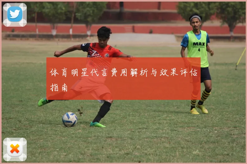 体育明星代言费用解析与效果评估指南