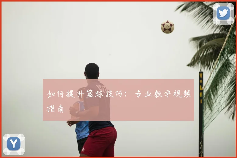 如何提升篮球技巧：专业教学视频指南